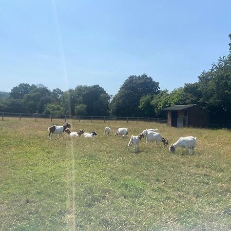 Winscombe The Nookeryヴィラ エクステリア 写真